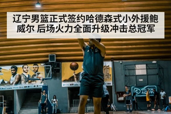 辽宁男篮正式签约哈德森式小外援鲍威尔 后场火力全面升级冲击总冠军